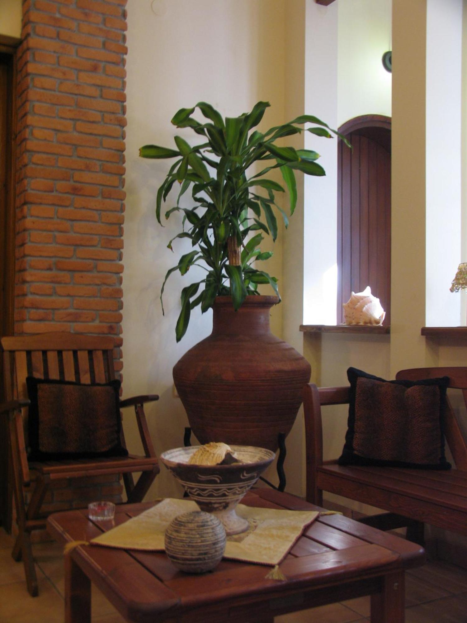 Katia Hotel Afissos Bagian luar foto